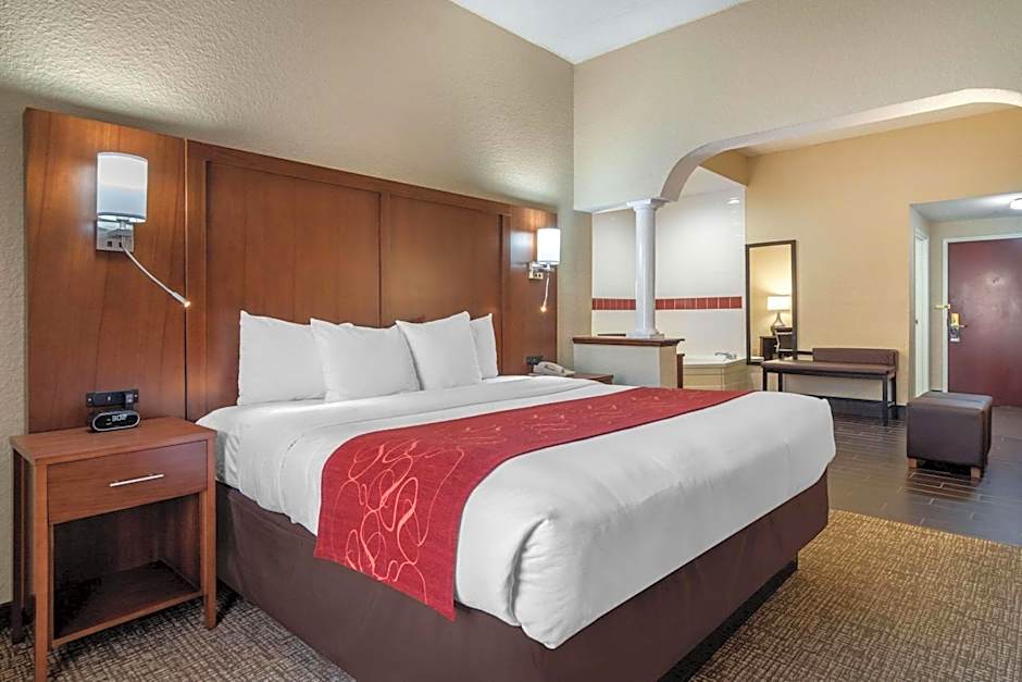 Comfort Suites Woodstock - Atlanta North