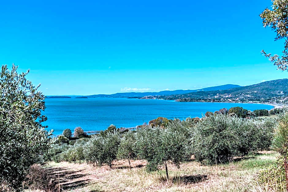 Hotel Ristorante Il Gabbiano