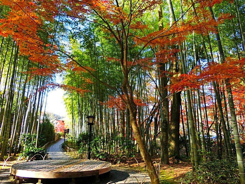 Onsen Yado Mizuguchi