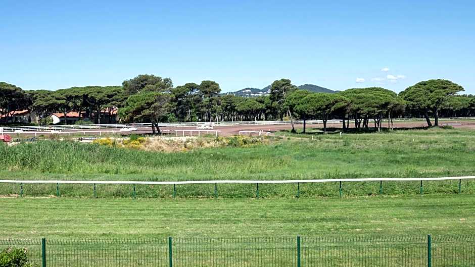 Les Stoechades