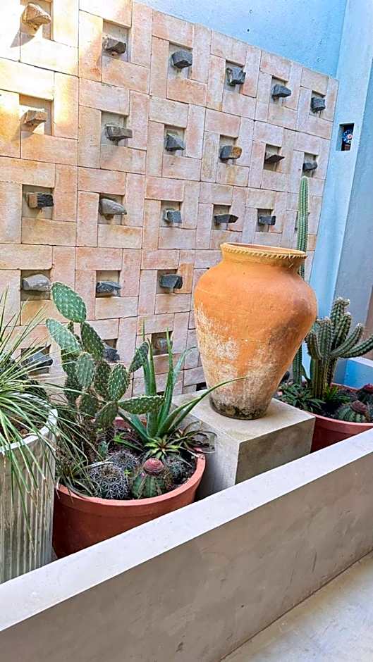 Casa Cacto Pousada