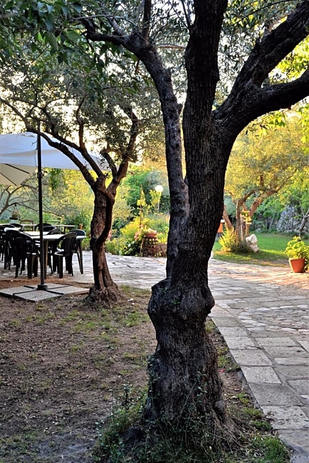 Fattoria La Tana della Volpe