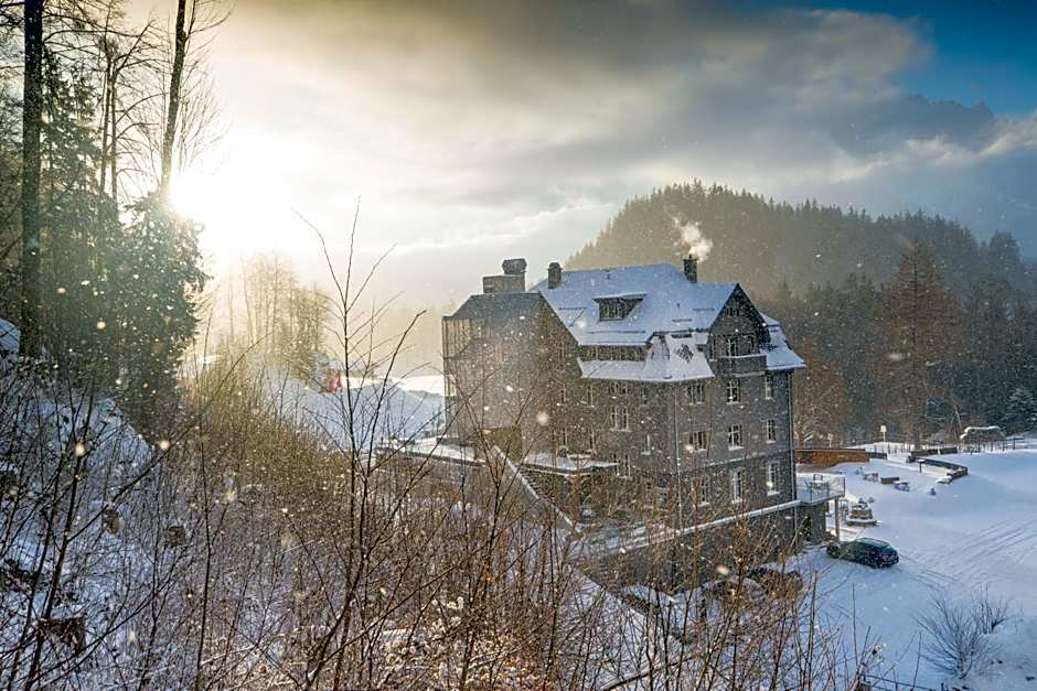 Apart Hotel Wetterhorn
