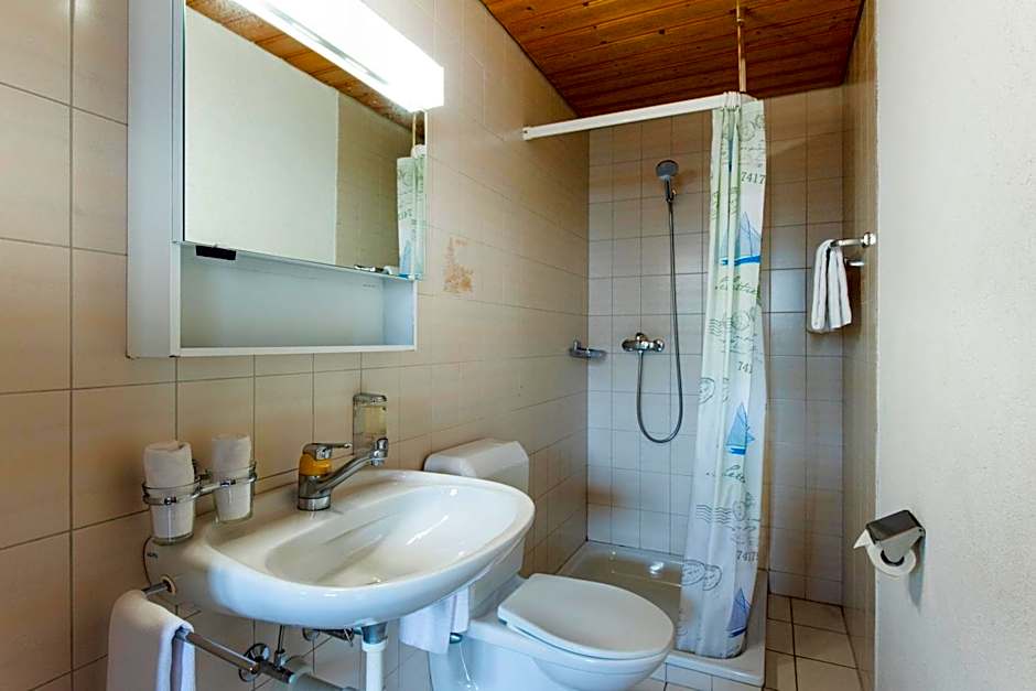 Hotel Brienzerburli