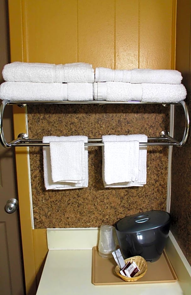 Executive Inn Goliad