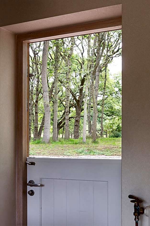 Bosvilla Kennemerduinen