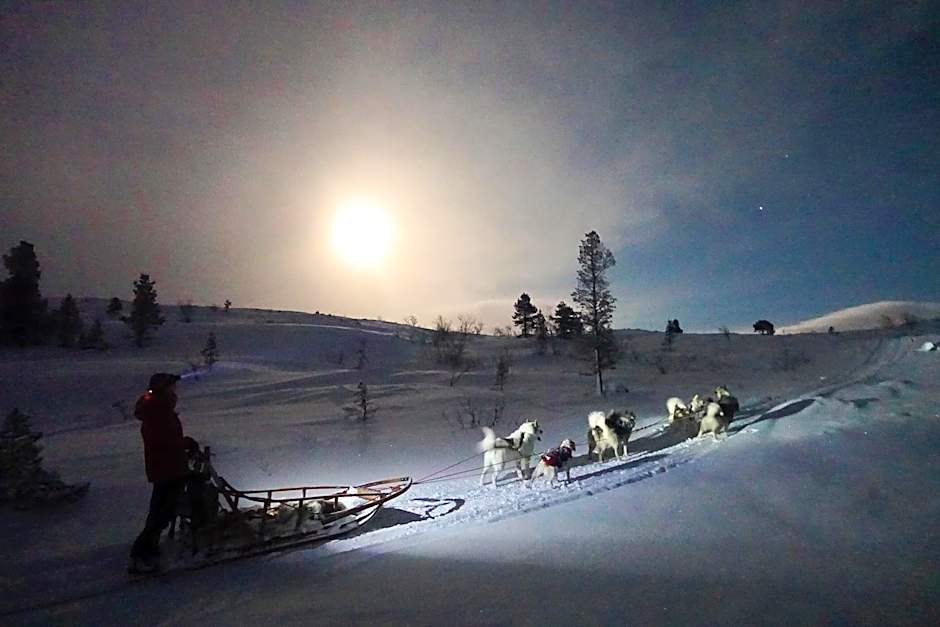 Wild Caribou's Wildwood Cabin