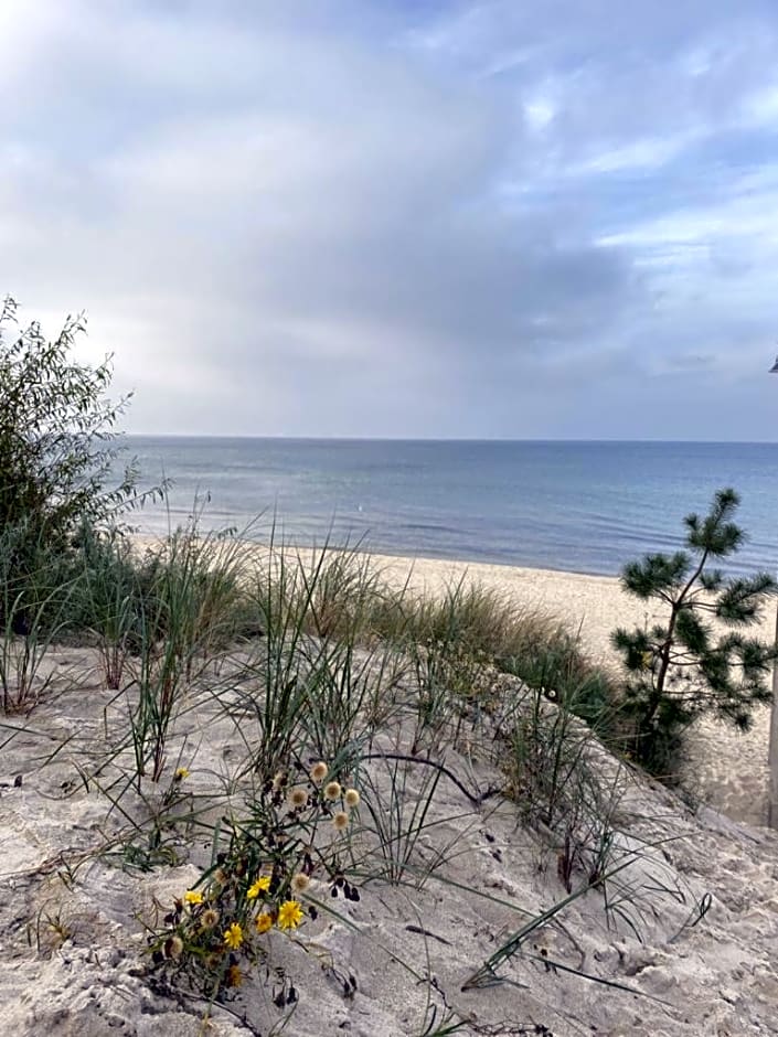 Pensjonat Dziki Zakątek