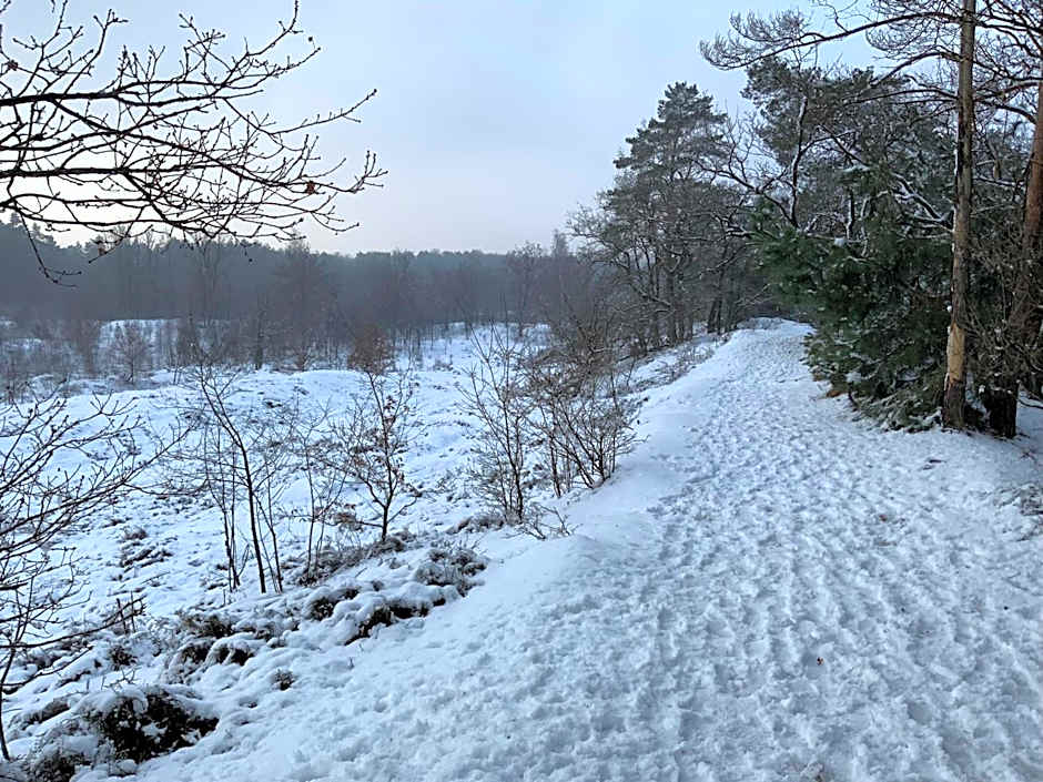 Heidebos