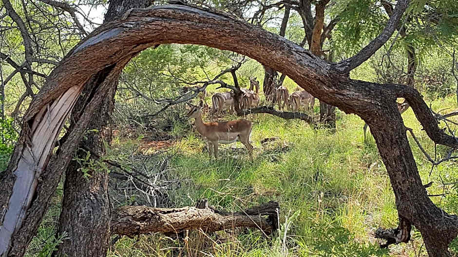 Morokolo Safari Lodge Self-catering
