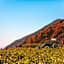 LA TERRA NAGANOーVacation STAY 96079v