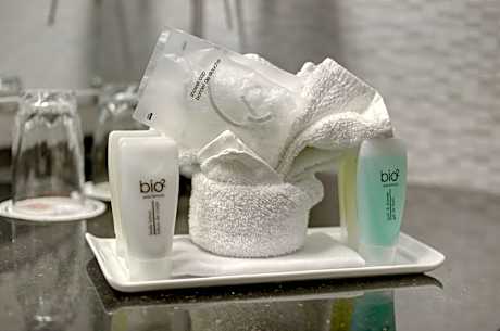 Deluxe Studio, 1 King Bed with Sofa bed (1 King Bed and 1 Large Twin Sofa Bed)