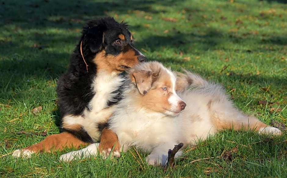 Silent Valley Bed & Breakfast