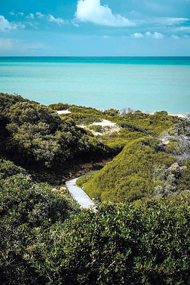 Surf Lodge South Africa