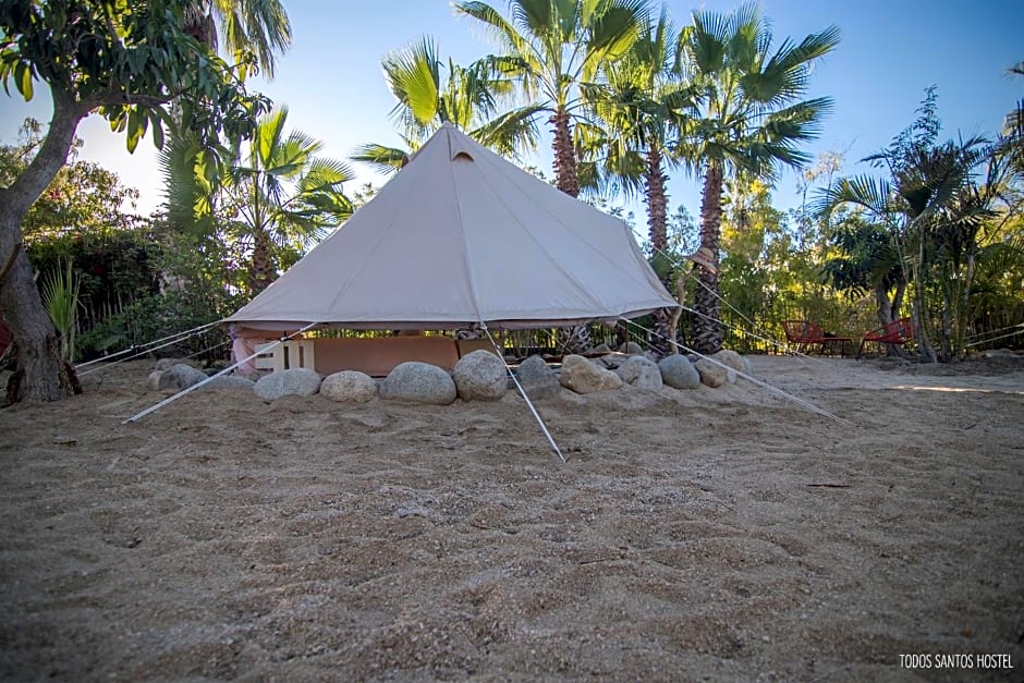 Todos Santos Hostel super fast and stable satellite wifi