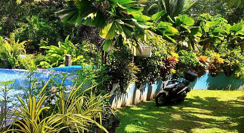 Sun House Rental