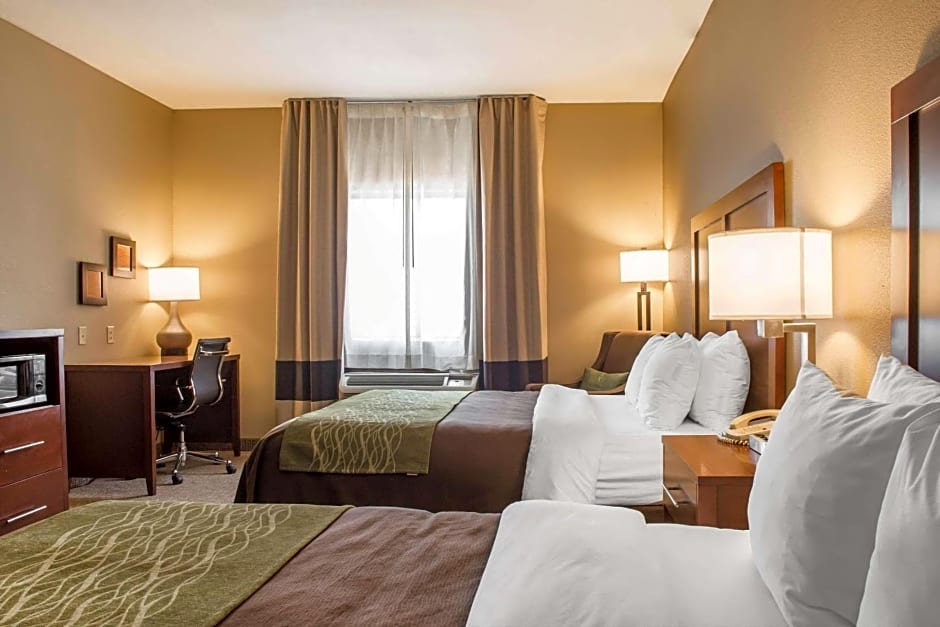 Comfort Inn Edinburg South