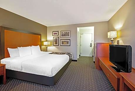 One-Bedroom King Suite - Non-Smoking