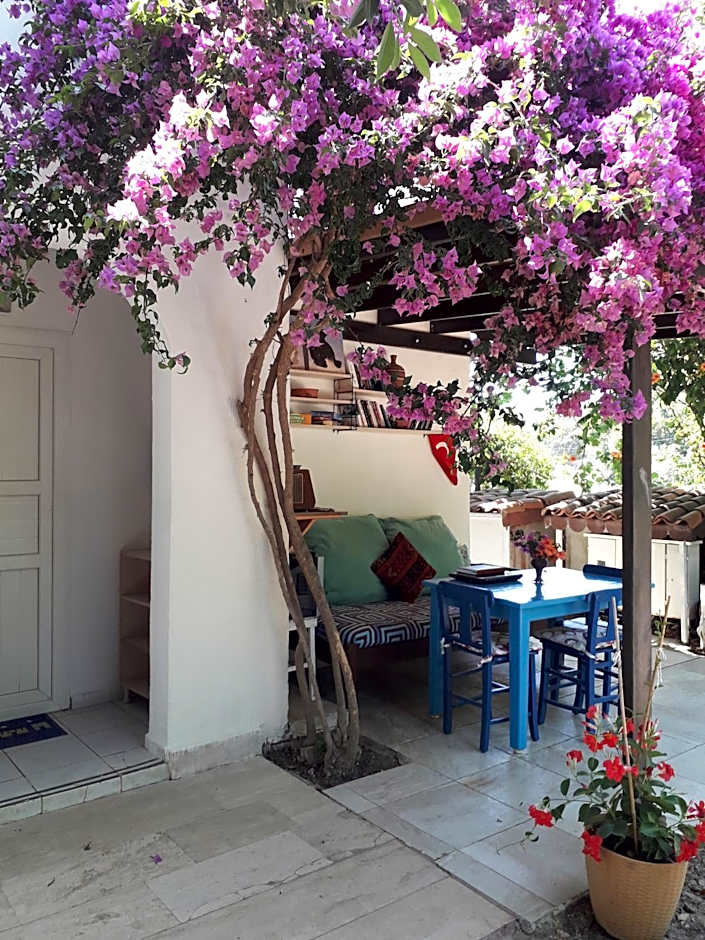 Paradise Gümüşlük