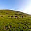 Apartamentos SNO Mont Romies Unhola