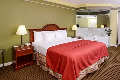 Spacious Suite With 1 King Bed. Non-Smoking. Amenities Include Free High-Speed Internet