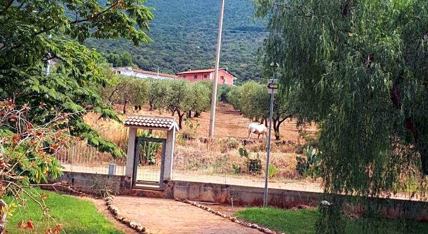 B&B Porta del Gargano