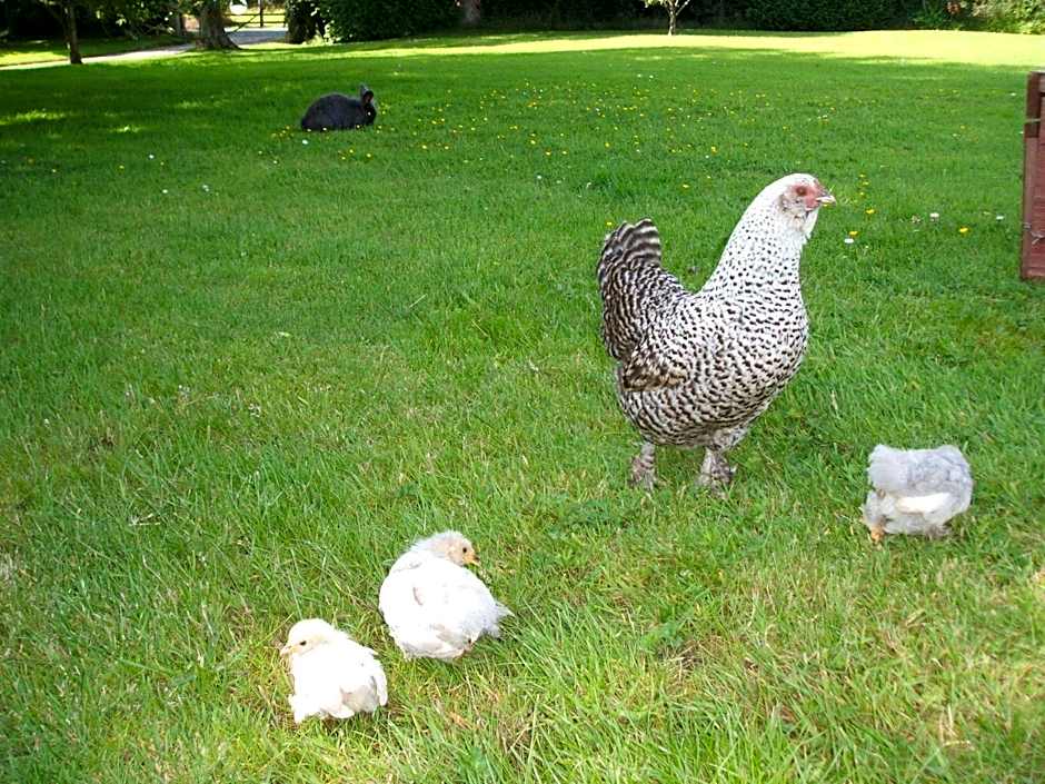 Green Bank Farmhouse