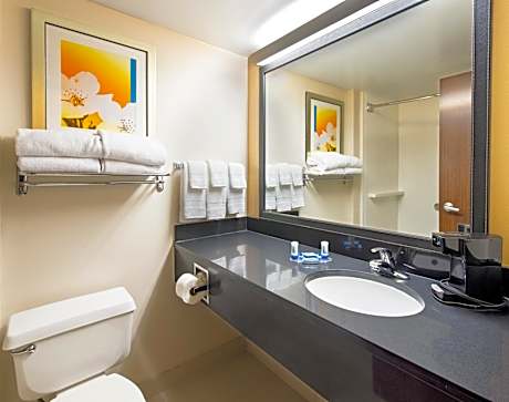 Single Full Size, Guest room, 1 Double