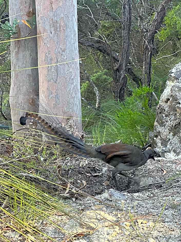 Valley of the Waters Bed and Breakfast