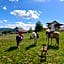 Gasthof Zum Kramer