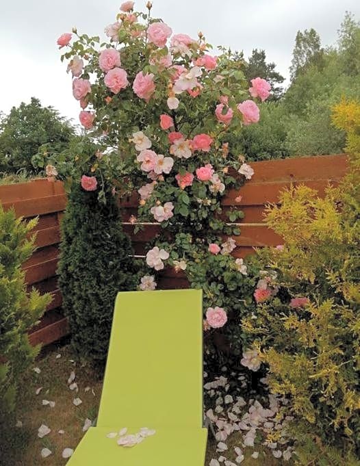 Domki holenderskie ,, Lataj¿cy Holender"