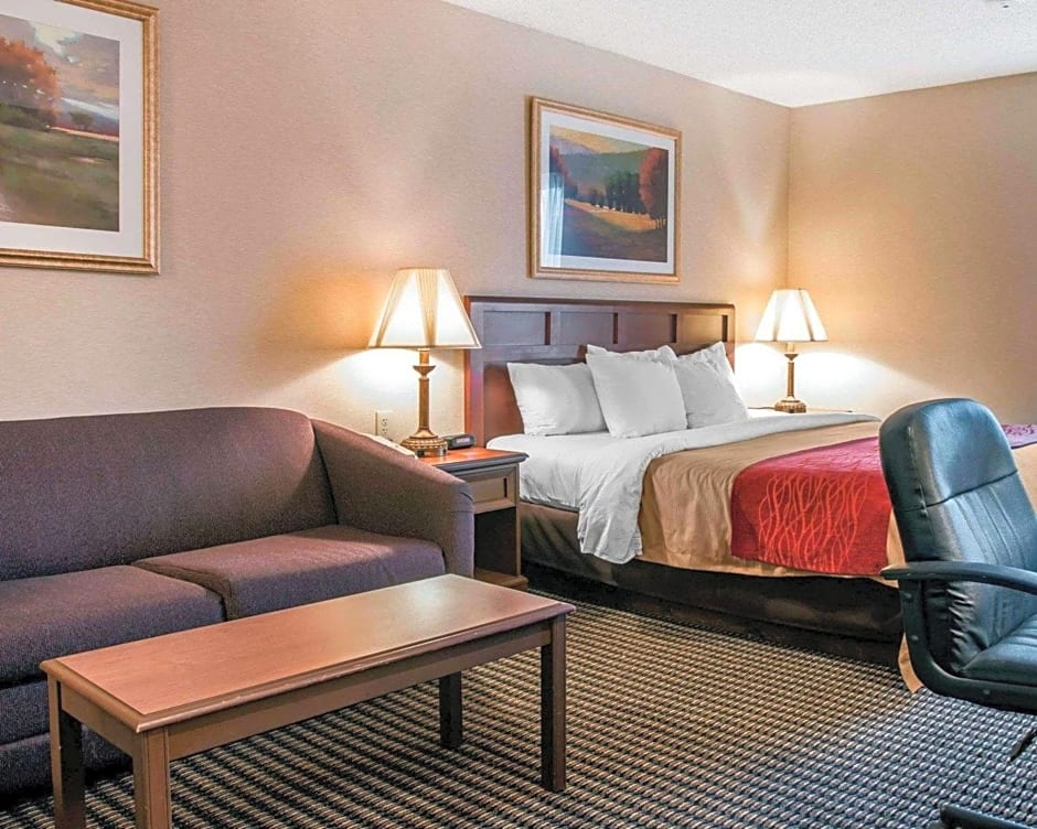 Comfort Inn Livonia