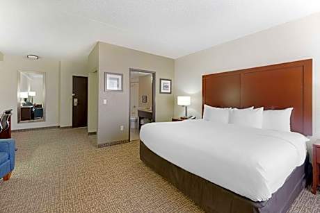 1 King Bed, Suite, Nonsmoking, Accessible