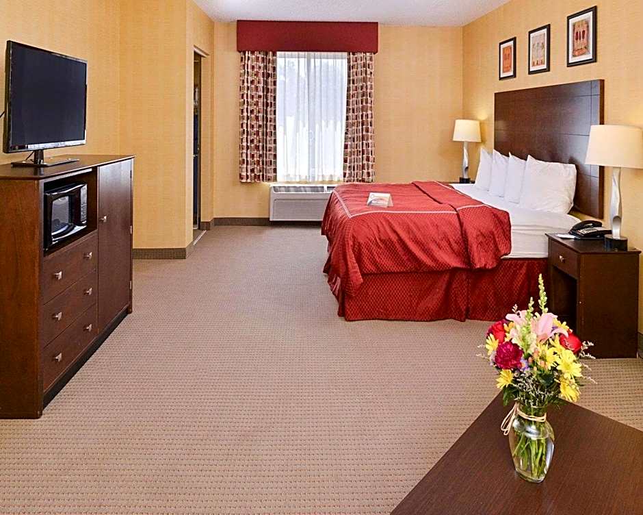Quality Suites Stratford