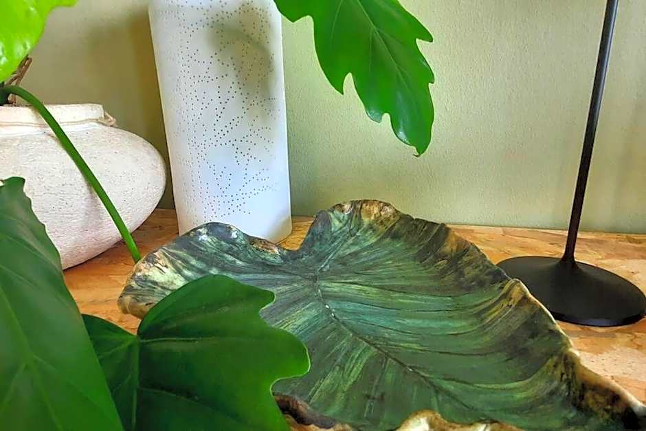 Le Tibouchina , gîte chaleureux à la ferme