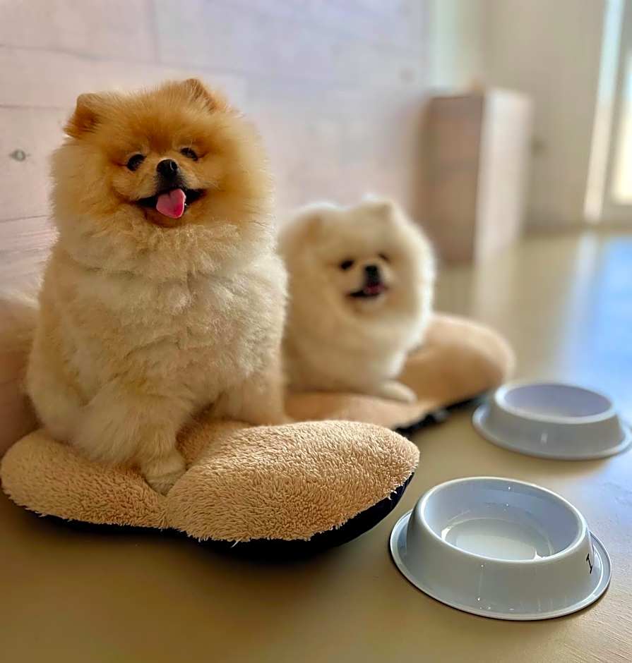 Apartamentos Llobet Ibiza