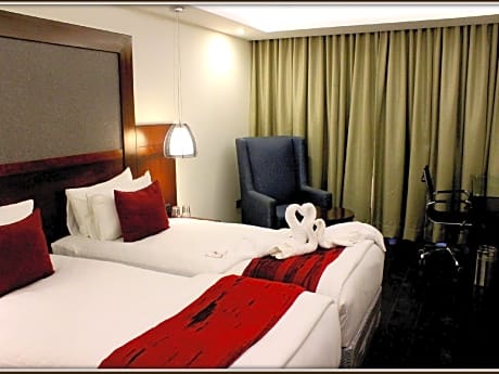 Deluxe King Or Twin Room
