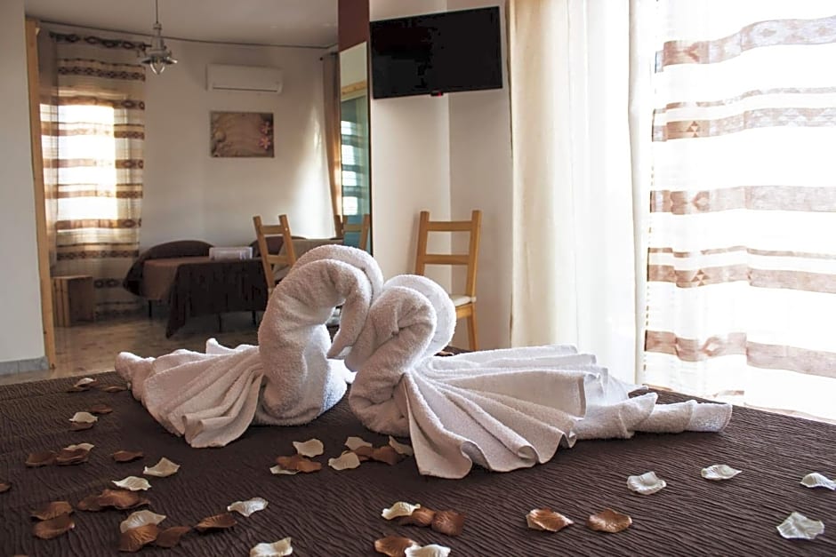 B&B Nettuno