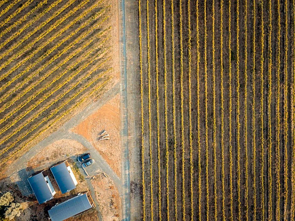 Vineyard Views at Shiraz Republic