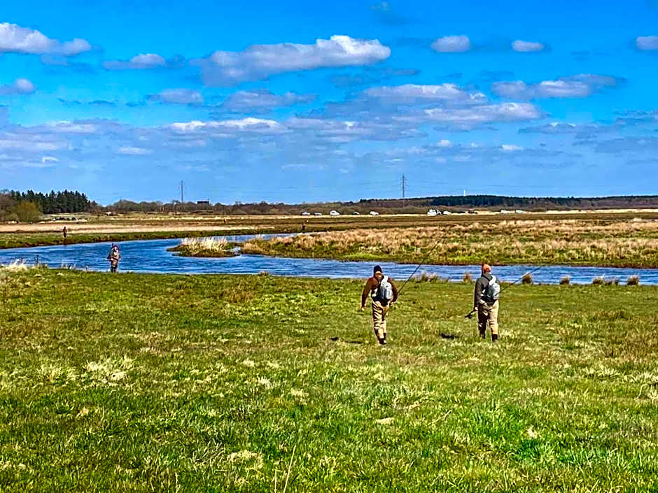 rooms for rent Andersen Invest