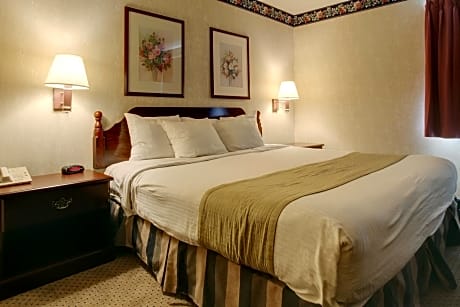 1 King Bed Jacuzzi Suite Non-Smoking