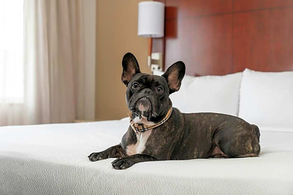 Residence Inn by Marriott San Antonio Six Flags at The RIM