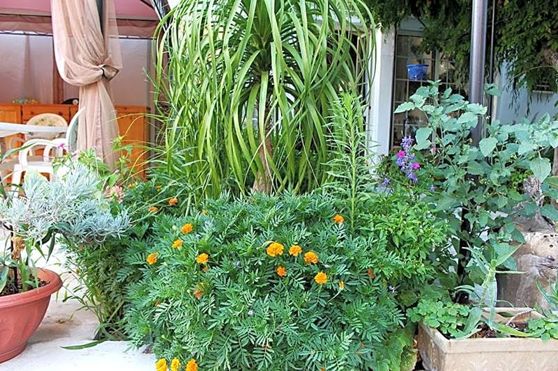 B&B IreneMarchese Gluten Free