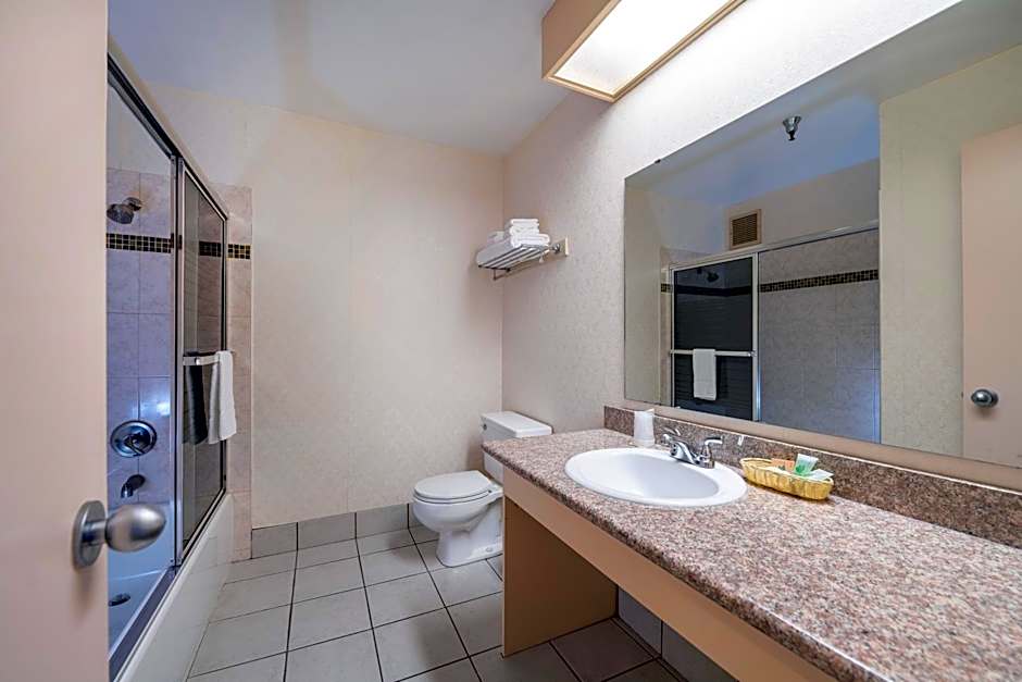 Hotel International