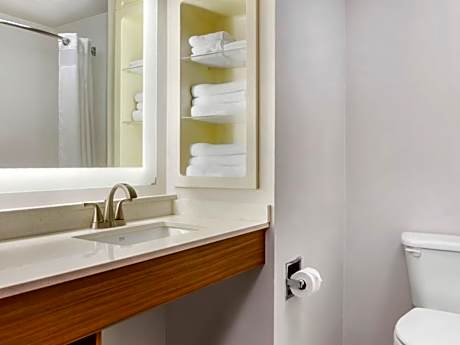 1 King Bed Suite Mobil Access Tub