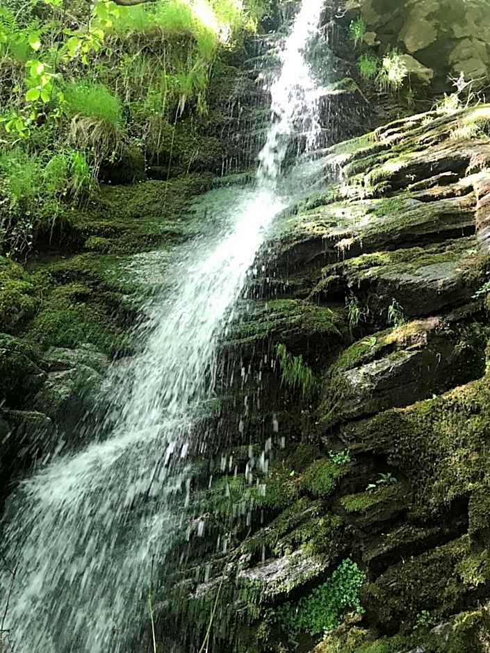 Logis Hôtel-restaurant Les Coudercous