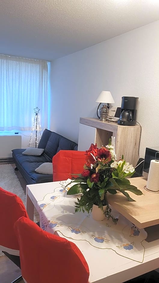 Ryan Apartament mit Netflix