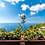 Albergo Diffuso Bacco Furore
