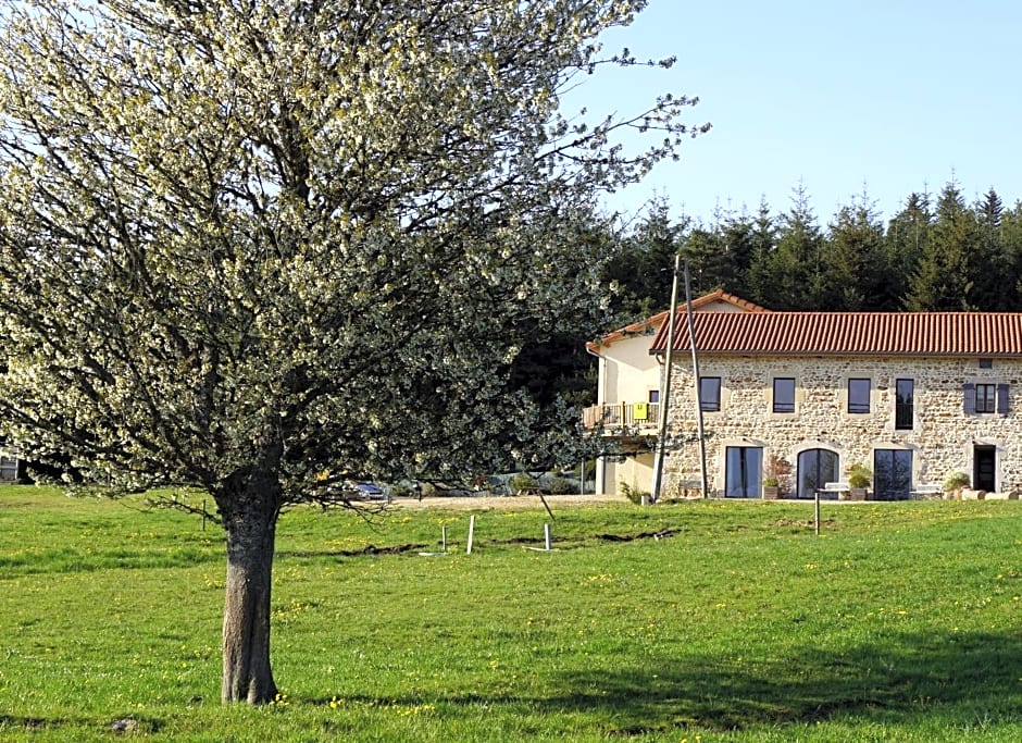 Auberge des Myrtilles