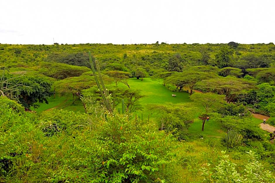 Masai Lodge